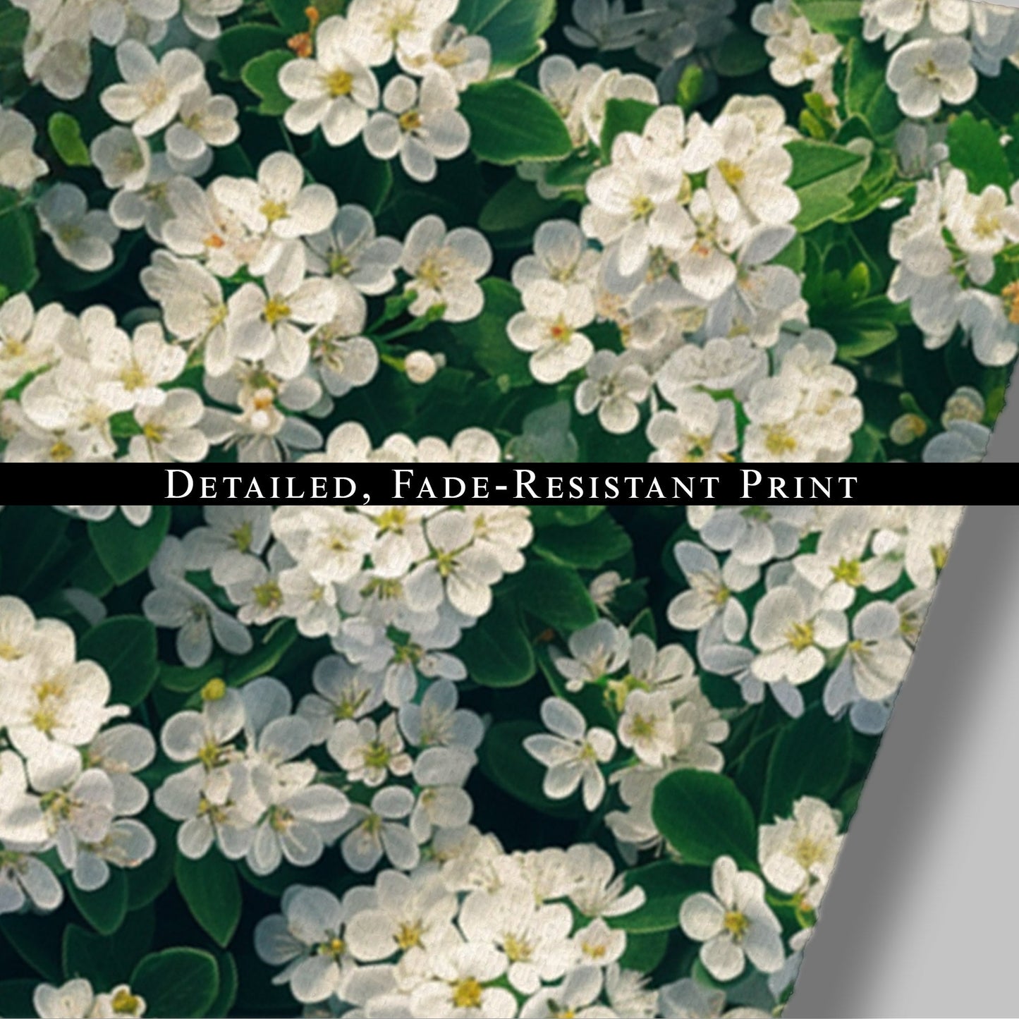 Field of White Flowers - Tranquil Oasis