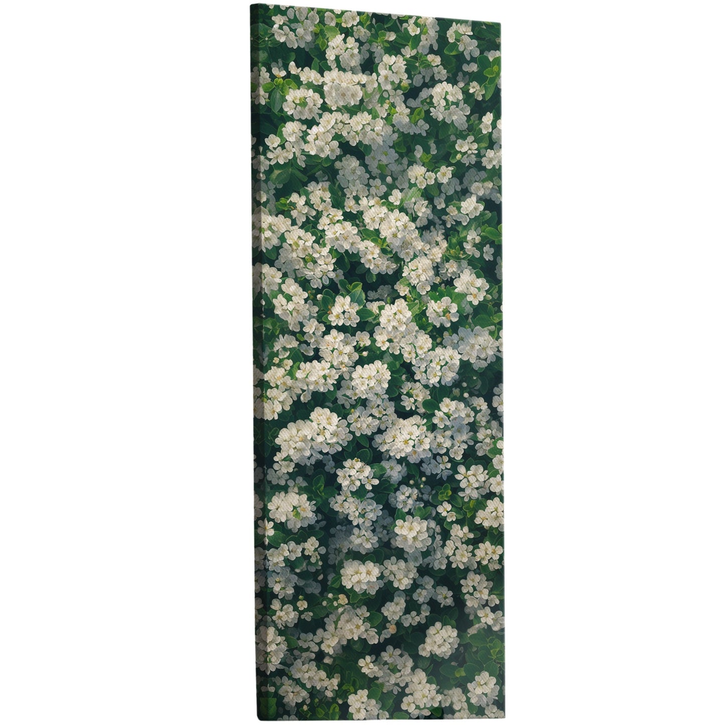 Field of White Flowers - Tranquil Oasis