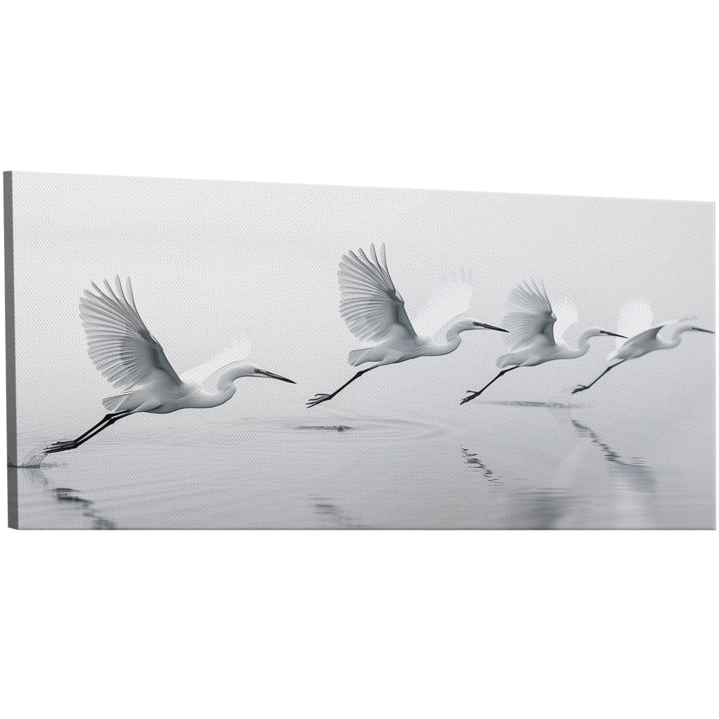 Tranquil egrets flying over calm lake - Serene Avian Elegance