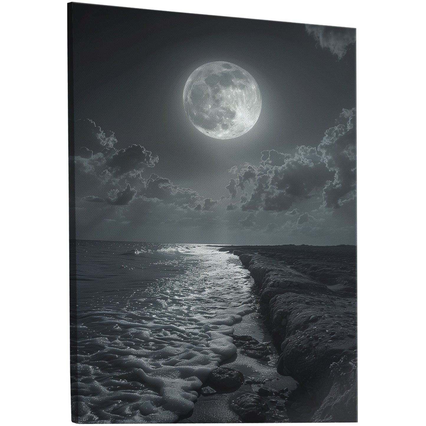 Black and White Photorealistic Shoreline with Moon at Night - Moonlit Serenity