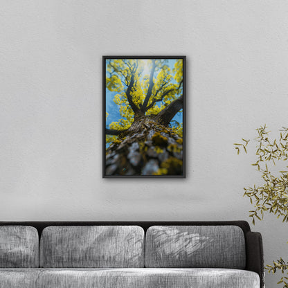 Photorealistic View of Tree Trunk, Branches and Sky - Enchanted Tree Under Sunlit Sky