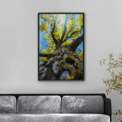 Photorealistic View of Tree Trunk, Branches and Sky - Enchanted Tree Under Sunlit Sky