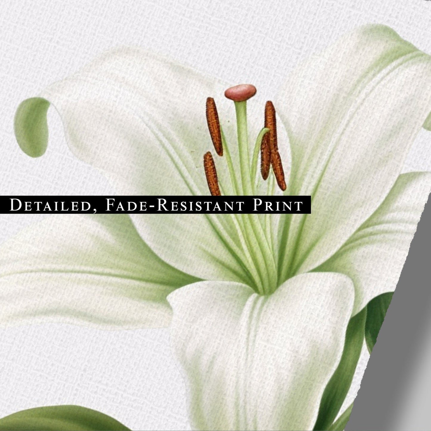 Painting of a Single Lily Highly Detailed on White Background - Lily Elegance