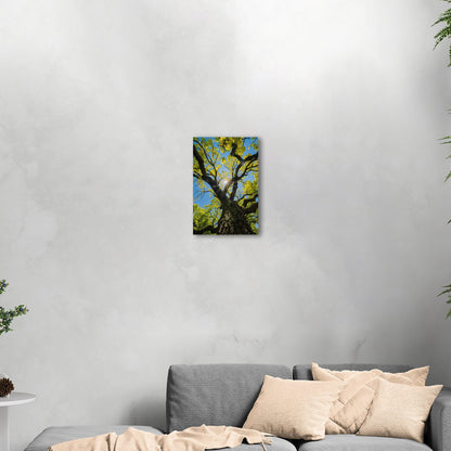 Photorealistic Tree Trunk View of Tree and Sky - Tranquil Vitality: Sunlit Tree Dream