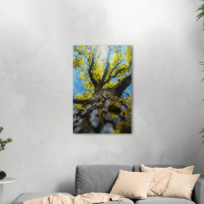 Photorealistic View of Tree Trunk, Branches and Sky - Enchanted Tree Under Sunlit Sky