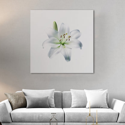 Elegant white lily, beauty, purity, floral - Tranquil Lily Dream