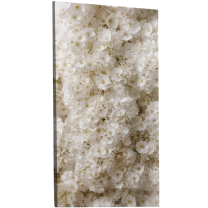 Photorealistic White Wildflower Top-down Texture - White Floral Abundance