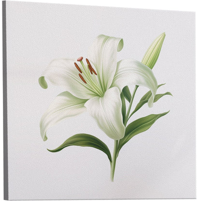 Painting of a Single Lily Highly Detailed on White Background - Lily Elegance