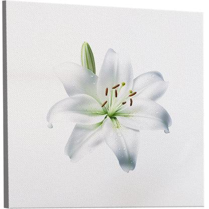 Elegant white lily, beauty, purity, floral - Tranquil Lily Dream