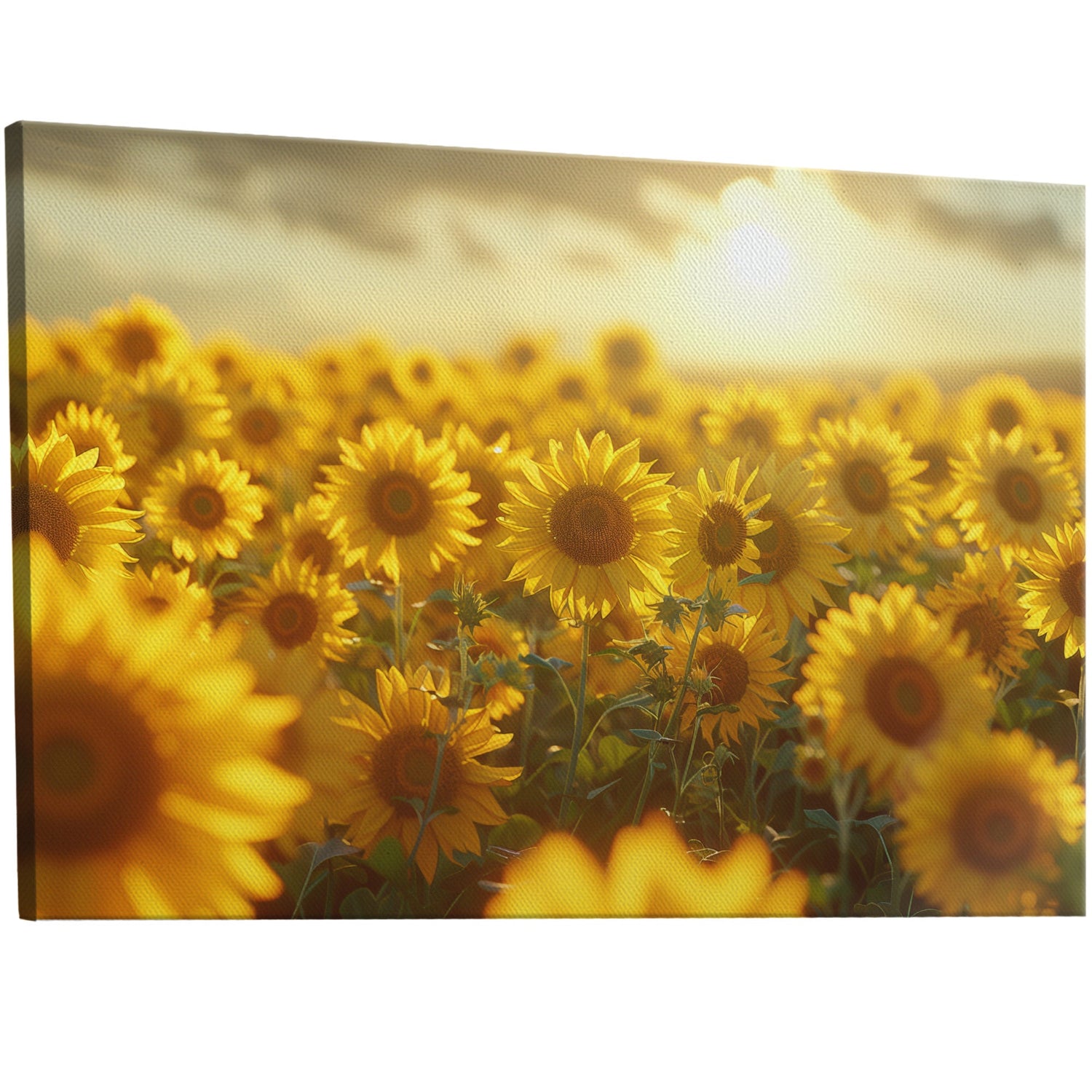 Small sunflower field art piece with sharp focus and intricate details