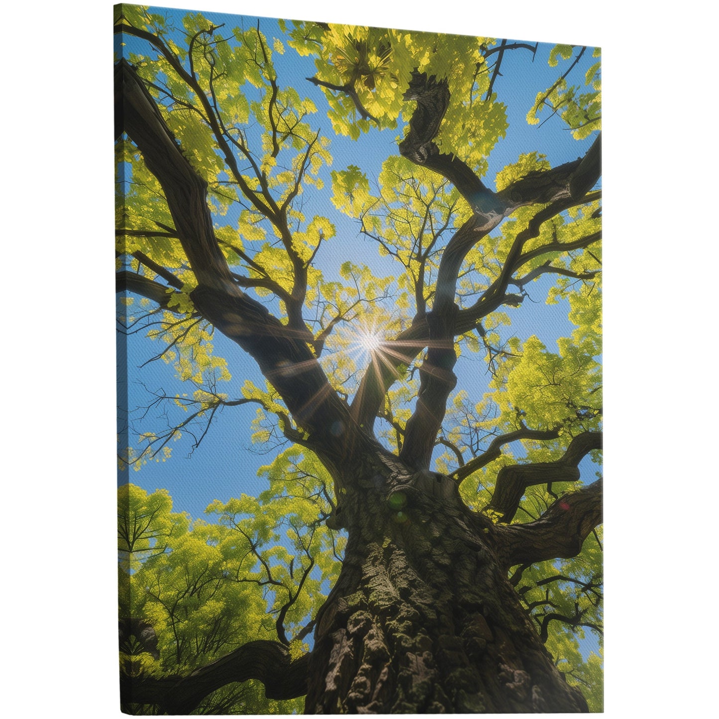 Photorealistic Tree Trunk View of Tree and Sky - Tranquil Vitality: Sunlit Tree Dream