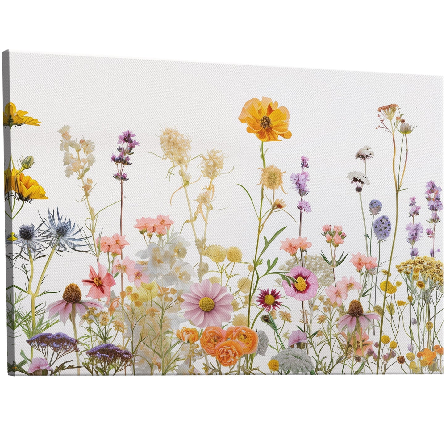 Exquisite wall art of pressed wildflowers on white background