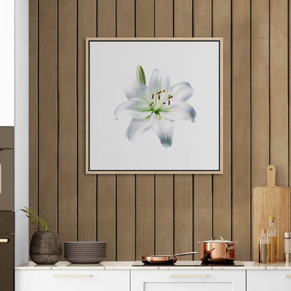 Elegant white lily, beauty, purity, floral - Tranquil Lily Dream