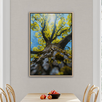 Photorealistic View of Tree Trunk, Branches and Sky - Enchanted Tree Under Sunlit Sky