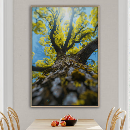 Photorealistic View of Tree Trunk, Branches and Sky - Enchanted Tree Under Sunlit Sky