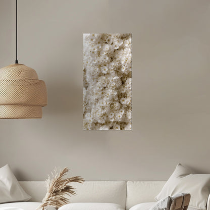 Photorealistic White Wildflower Top-down Texture - White Floral Abundance