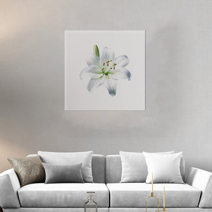 Elegant white lily, beauty, purity, floral - Tranquil Lily Dream