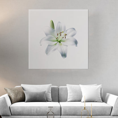 Elegant white lily, beauty, purity, floral - Tranquil Lily Dream