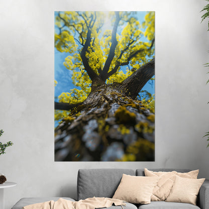 Photorealistic View of Tree Trunk, Branches and Sky - Enchanted Tree Under Sunlit Sky