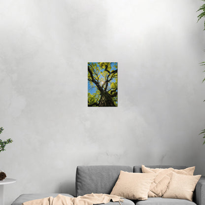 Photorealistic Tree Trunk View of Tree and Sky - Tranquil Vitality: Sunlit Tree Dream