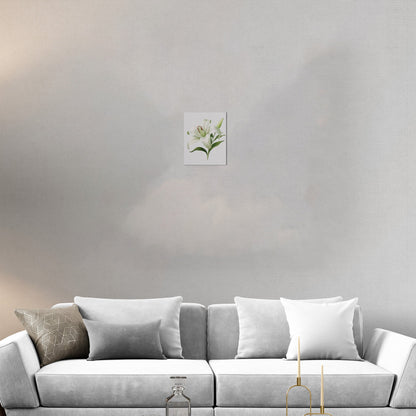 Painting of a Single Lily Highly Detailed on White Background - Lily Elegance